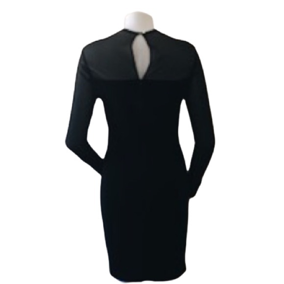 Vintage Mesh Illusion Bodycon Dress - Picture 3 of 3